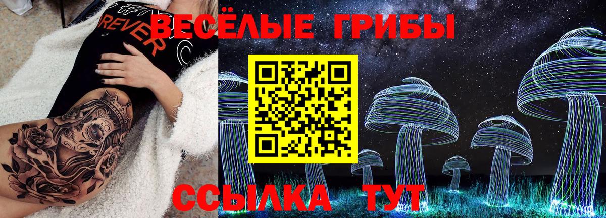 Улан-Удэ  Псилоцибиновые грибы мицелий  Псилоцибиновые грибы Psilocybine cubensis  Вход с VPN 